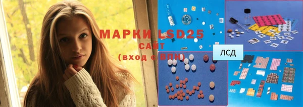 крисы Абаза